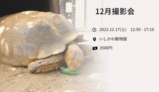 12/17(土)12月撮影会