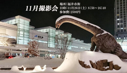 11/26(土) 11月撮影会