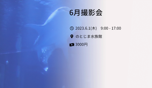 6/1（木）6月撮影会