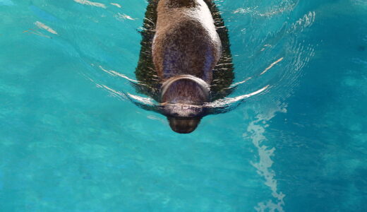 7/26（土）7月撮影会